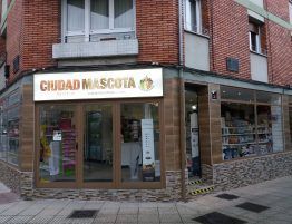 Reforma de local en Oviedo